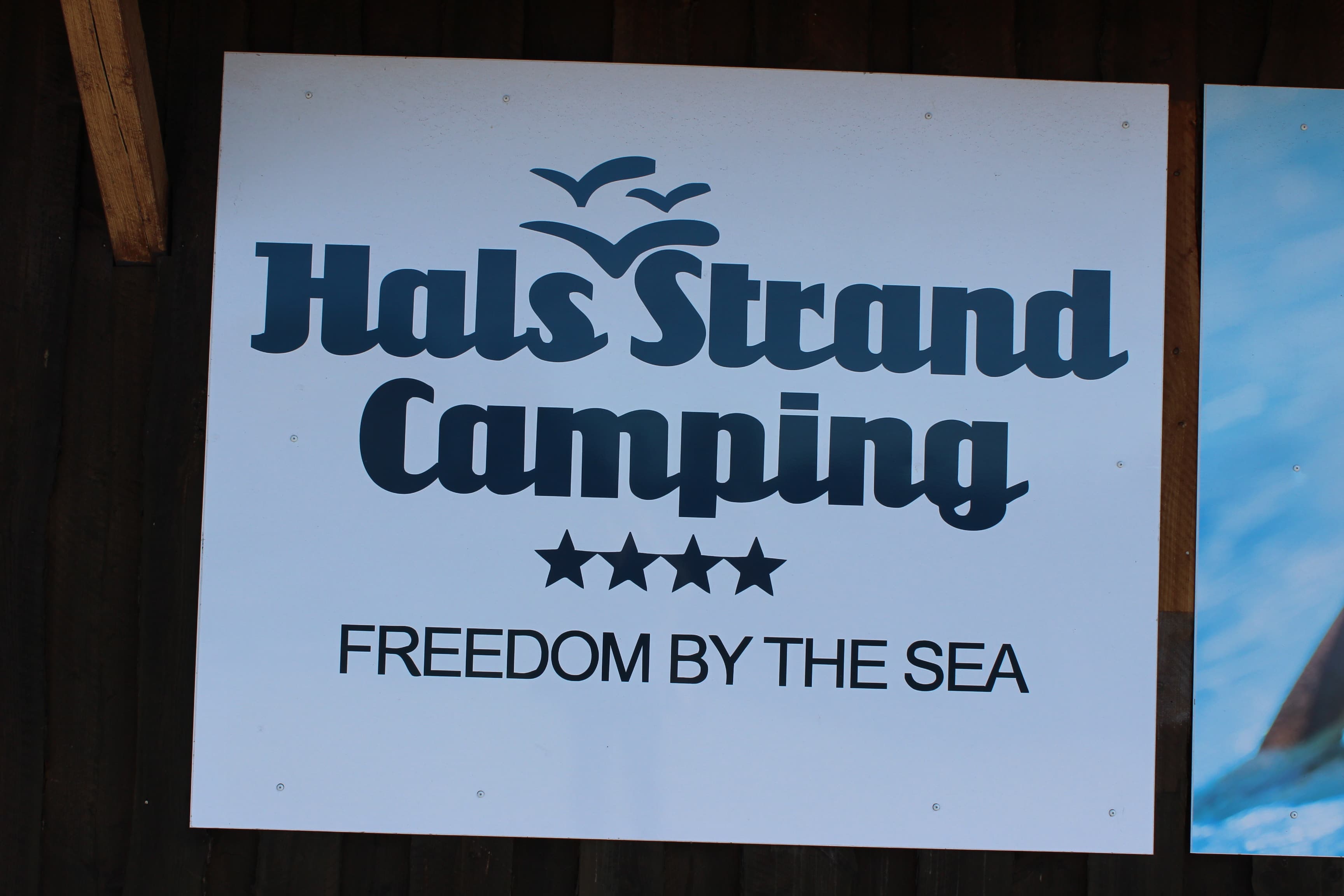 Billede af Hals Strand Camping